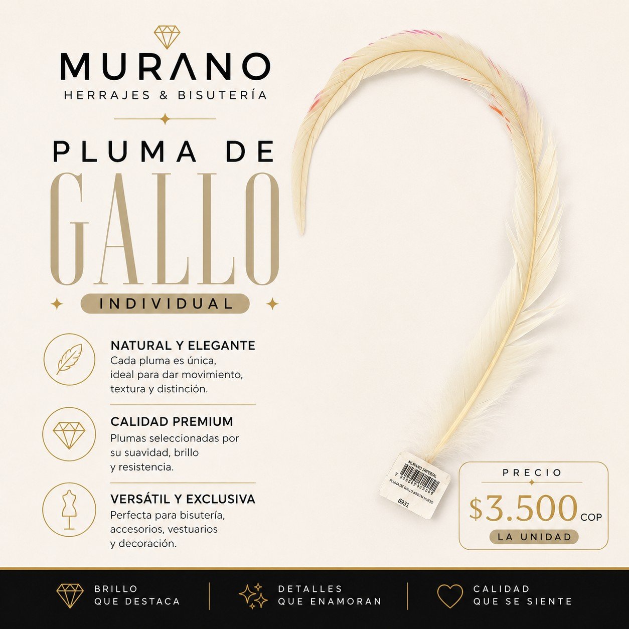 Pluma de Gallo Individual Hueso