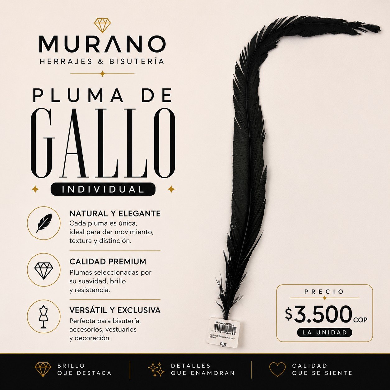 Pluma de Gallo Individual Negro