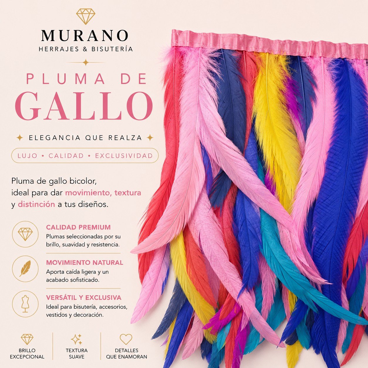 Pluma de Gallo Bicolor
