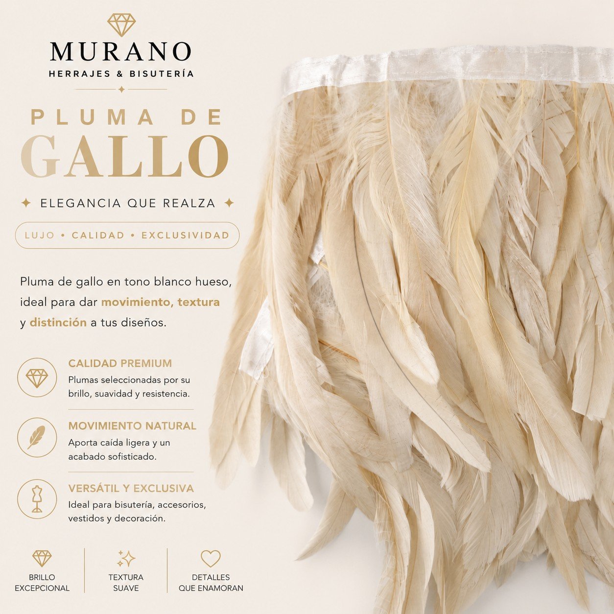Pluma de Gallo Blanco Hueso