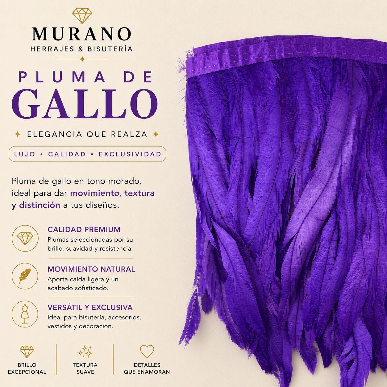 Pluma de Gallo Morado