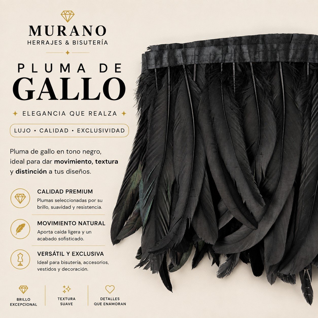 Pluma de Gallo Negro