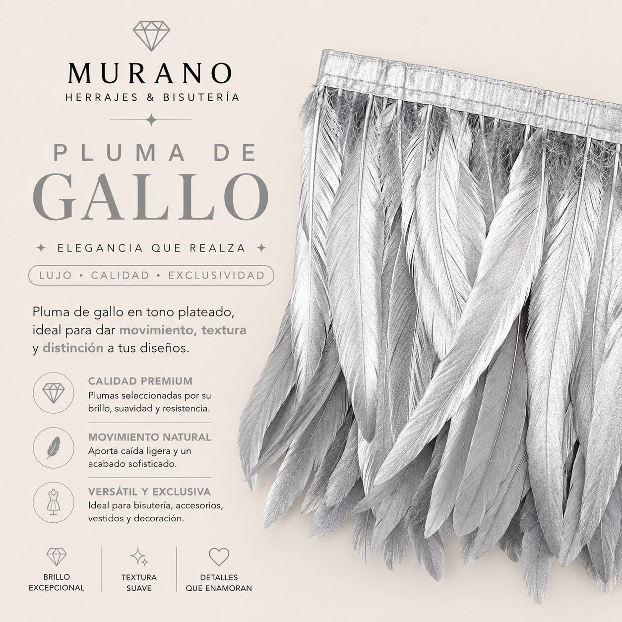 Pluma de Gallo Plateado