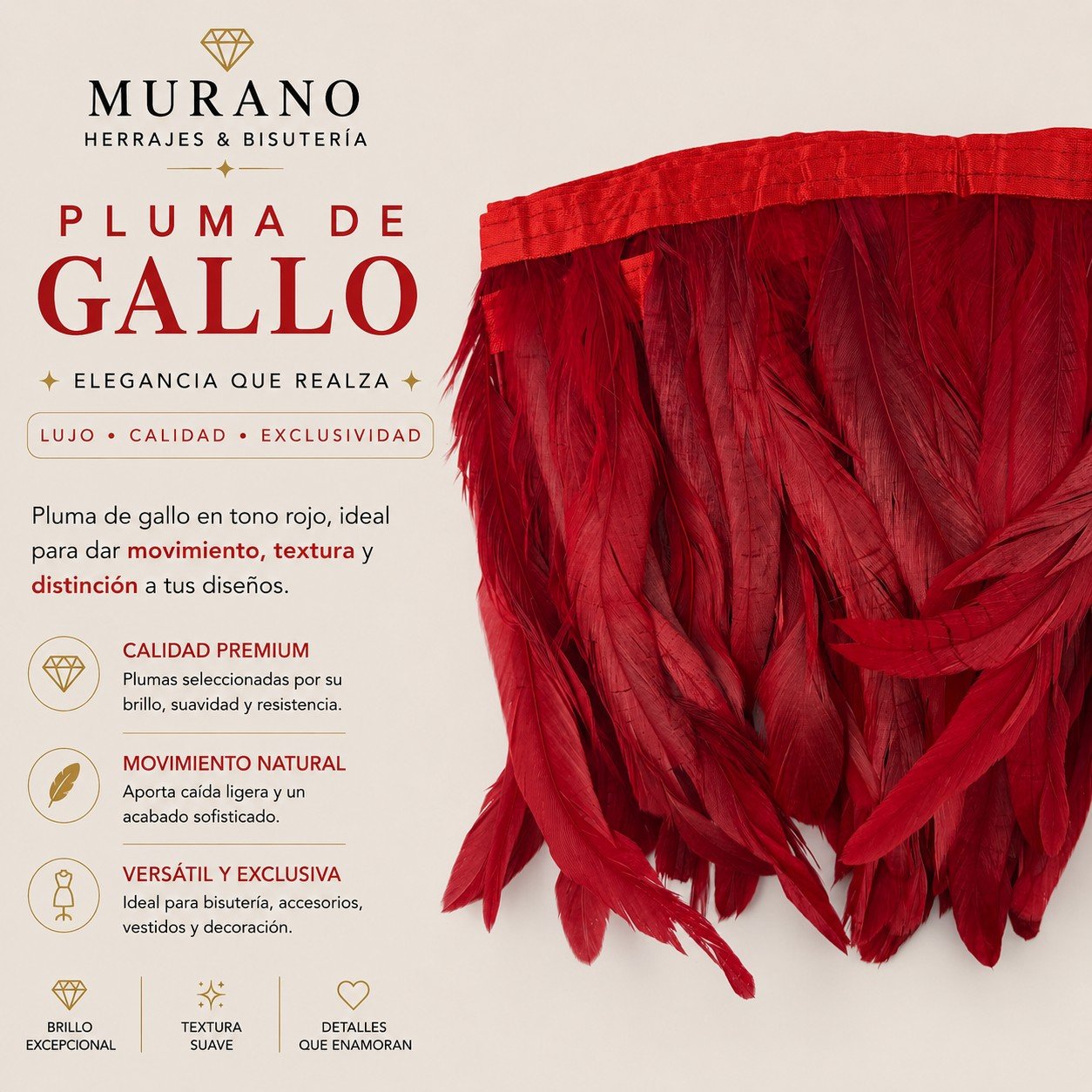 Pluma de Gallo Rojo