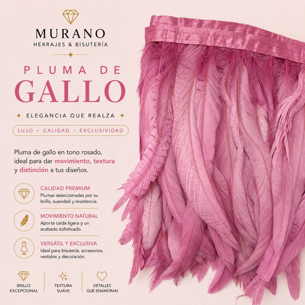 Pluma de Gallo Rosado