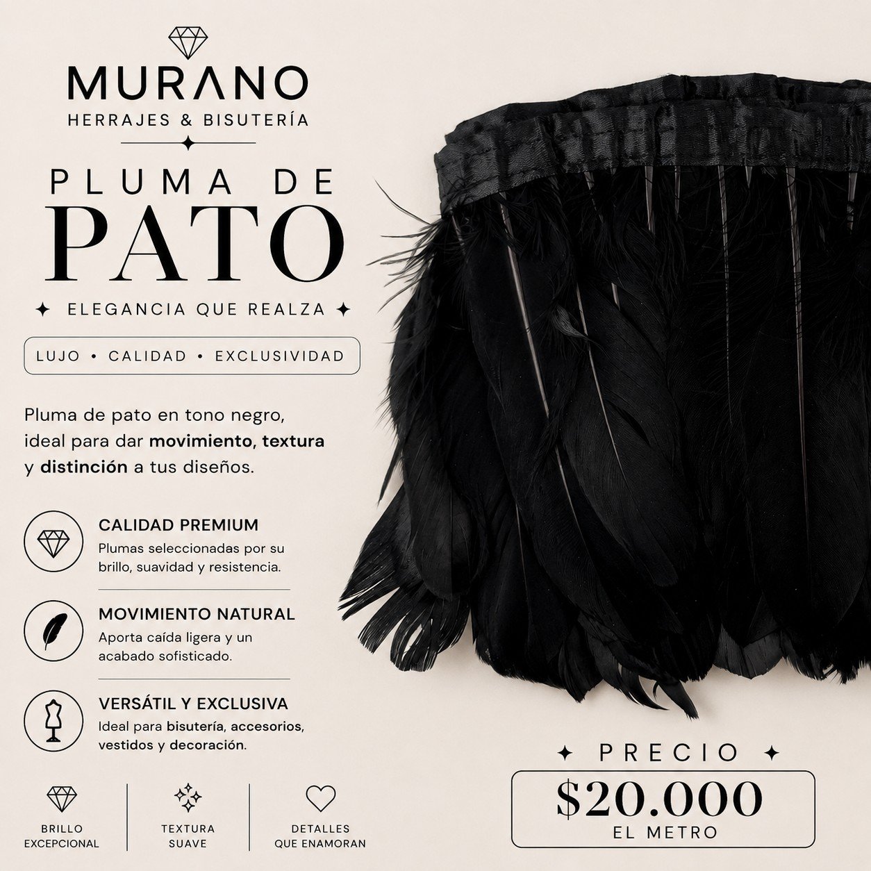 Pluma de Pato Negro